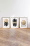 Wallity Huhu210 Cuadro Decorativo Enmarcado 30 x 40 cm (3 Piezas)